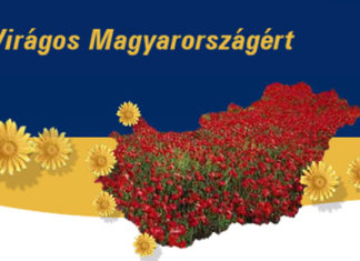 Sándorfalva ismét indult a Virágos Magyarországért versenyben