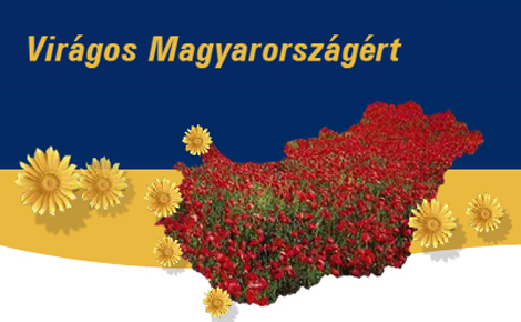Sándorfalva ismét indult a Virágos Magyarországért versenyben