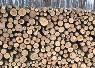 Szociális tűzifa igényelhető Üllésen