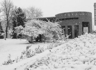 Mórahalom hótakaróban – Galéria