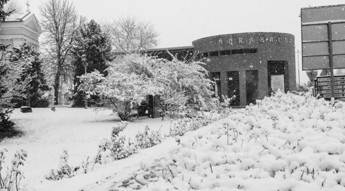 Mórahalom hótakaróban – Galéria