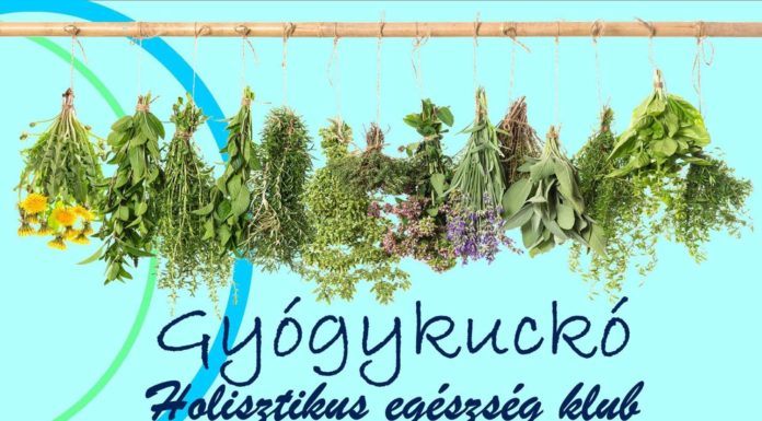 Folytatódik a Gyógykuckó Ásotthalmon