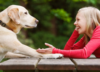 Egy Kutya-Jó Nap Sándorfalván február 24-én!