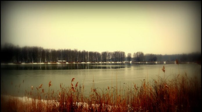 Dűlőről dűlőre – Túrasorozat indul Üllésen