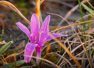 Túrázzon, fürdőzzön és egyen egy lángost a vásárban! – Programok a hosszú hétvégére