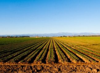 Elindult a területalapú támogatások ügyintézése a falugazdászoknál
