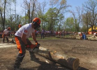 Országos Fakitermelő Bajnokság regionális fordulója Ásotthalmon