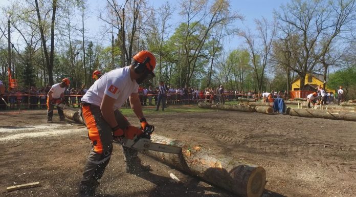 Országos Fakitermelő Bajnokság regionális fordulója Ásotthalmon