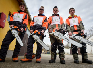 Dőlt a fa, zúgott a láncfűrész – Ásotthalmon tartották az erdészeti szakmunkások országos versenyét