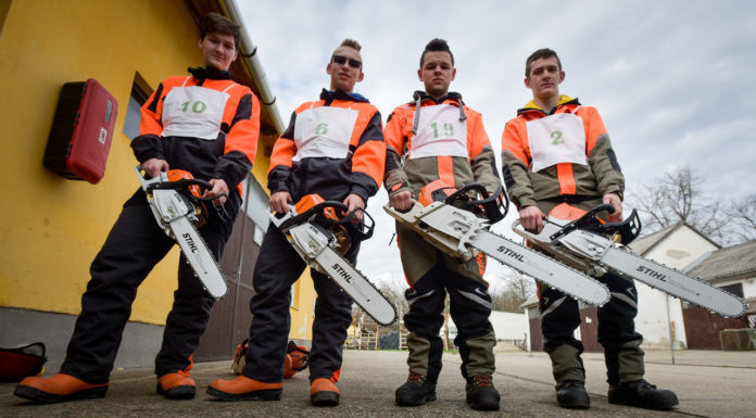 Dőlt a fa, zúgott a láncfűrész – Ásotthalmon tartották az erdészeti szakmunkások országos versenyét