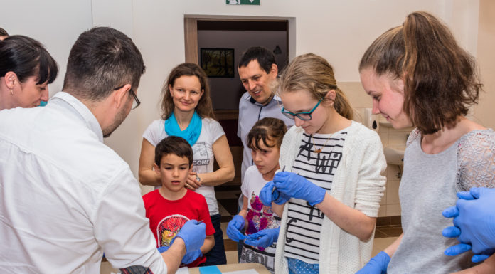 Szakmák éjszakája Mórahalmon – Egy estére bárki lehetett sebész vagy éppen vendéglátós