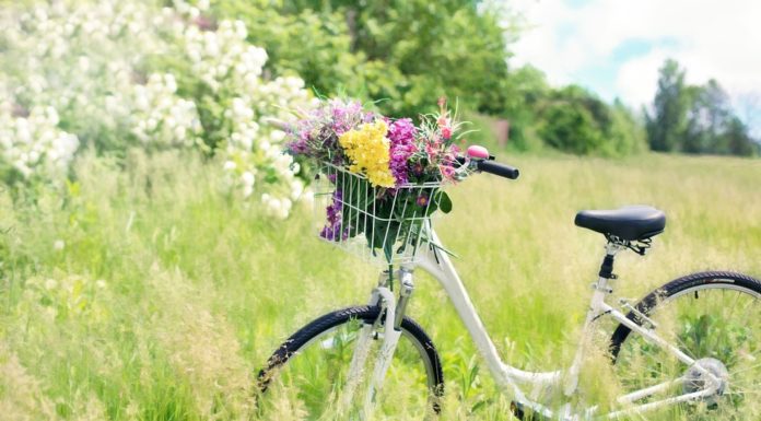 Közösségek Hete Zákányszéken