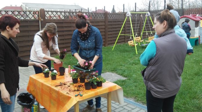 Közösségi virágültetésre invitál a Biztos Kezdet Gyerekház Mórahalmon