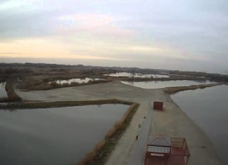 Gyümölcsöst létesít Sándorfalva a Nádastó Szabadidőpark mellett