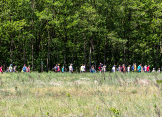 Ringatózó árvalányhaj, pillangók és más csodák – A Csodaréten barangoltunk a Kissorért Egyesülettel (GALÉRIA)