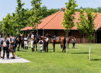 Mórahalmi Lovas Napok – Nyílt nap és regionális versenyek a Futó-Dobó Lovasközpontban