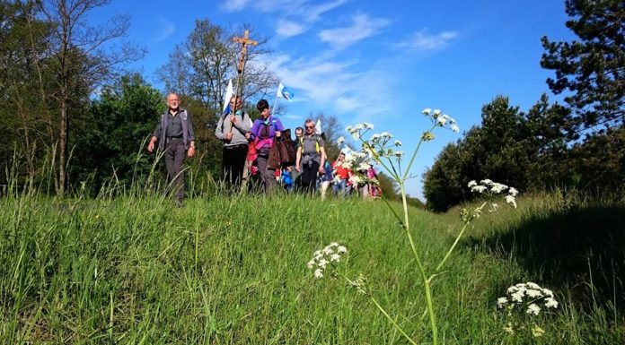 Rózsafüzér Zarándoklat Öttömösről a Déli Mária Úton