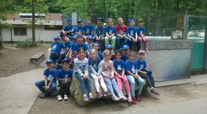 Bűnmegelőzési programban vettek részt a mórahalmi iskolások a Szegedi Vadasparkban