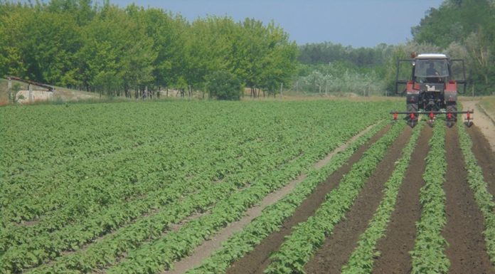 Újabb 1,2 milliárd forint jut idén tanyafejlesztésre