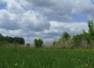 Kirándulás a Csodarétre – A kissoriak újabb túrát szerveznek