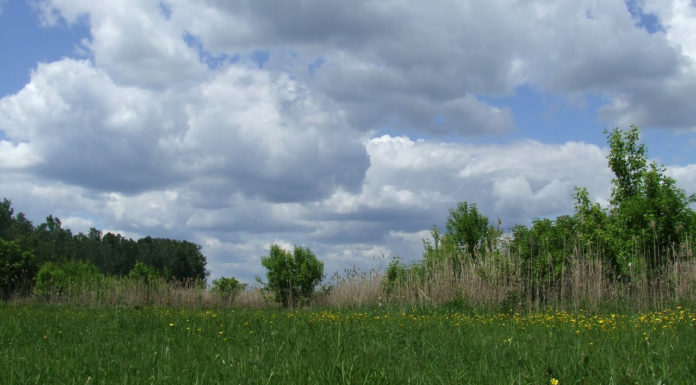 Kirándulás a Csodarétre – A kissoriak újabb túrát szerveznek