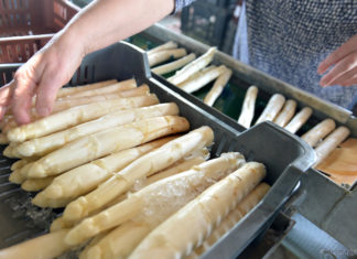 Ritkán kerül a magyar asztalokra, inkább exportálják: a bécsi nagybanira viszik az öttömösi spárgát