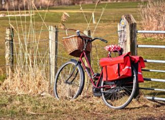 Biztonságosabb lesz Zsombó és Forráskút között a kerékpáros közlekedés