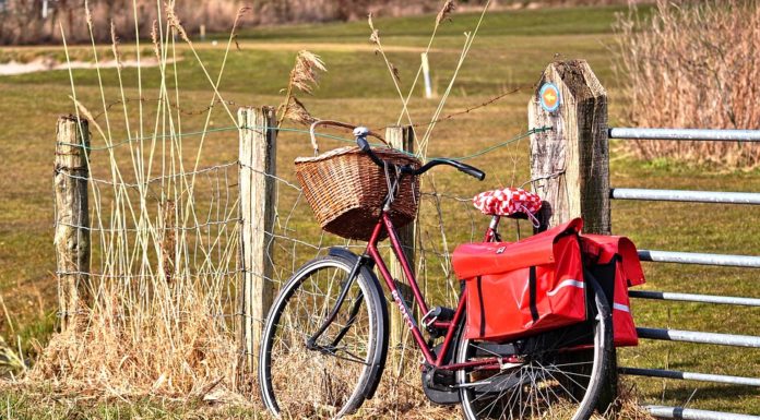 Biztonságosabb lesz Zsombó és Forráskút között a kerékpáros közlekedés