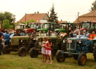 Domaszéki Falunapok