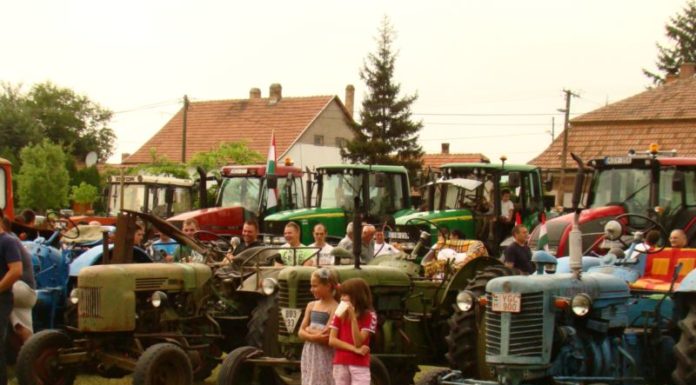 Domaszéki Falunapok