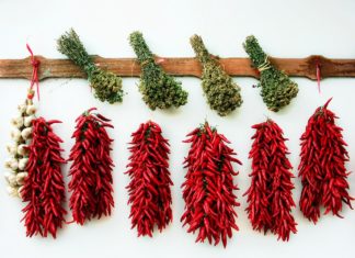 Fűszerpaprika őrleményt fognak előállítani Mórahalmon