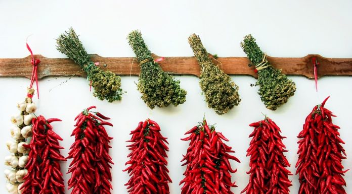 Fűszerpaprika őrleményt fognak előállítani Mórahalmon