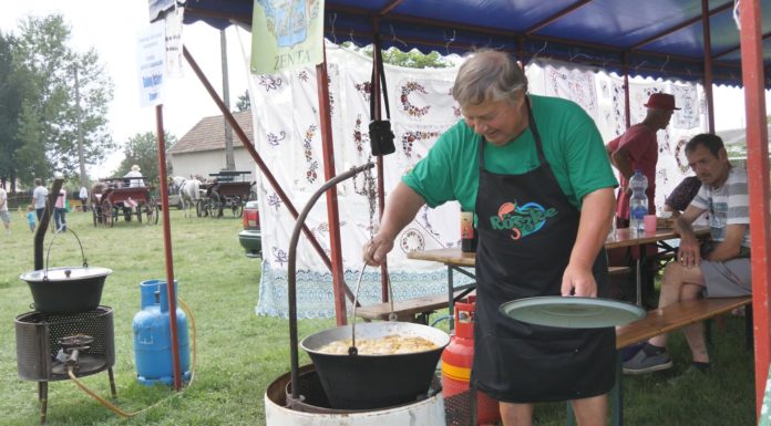 Szárma vagy töltött káposzta Röszkén? – VIDEO