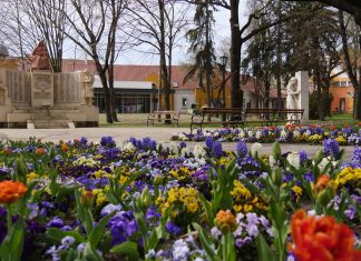 Elkészült az éves elégedettségmérés a turisták körében – Legjobbnak a parkosítást és a rendezettséget ítélték Mórahalmon