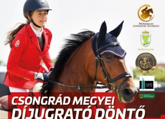 Csongrád megyei díjugrató döntő Mórahalmon