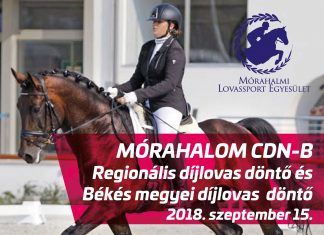 Díjlovas döntők Mórahalmon szeptember 15-én