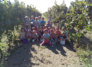 Szüreti hagyományokkal ismerkedtek mórahalmi óvodások