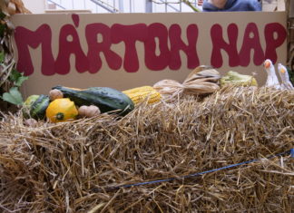 Márton nap: Ásotthalmon libát tereltek, Zákányszéken lámpást készítettek (VIDEÓK)