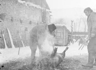 Jégbontó Átokházi Böllérnapra csalogatnak Ásotthalmon