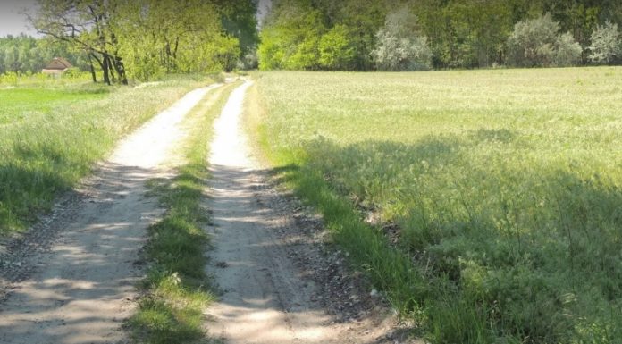 Dűlőről Dűlőre – Ruzsán folytatódik a túrasorozat