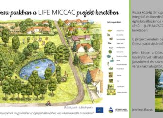 Idén megkezdődik a víztározó kivitelezése a ruzsai Dózsa parkban