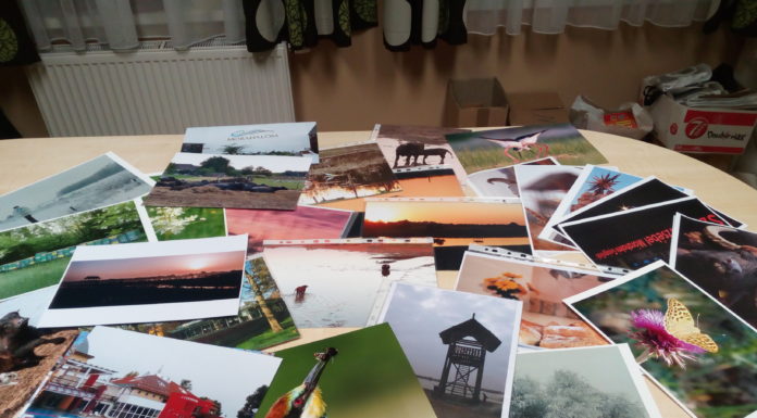 Fotókiállítás nyílt a mórahalmi Mini Hungary Parkban – Kihirdették a helyi értéktár elemeire épülő pályázat nyerteseit (FRISSÍTVE)