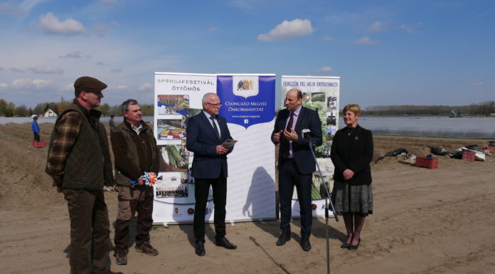 Elindult az idei spárgaszezon Öttömösön