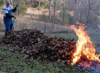 Új rendeletet hoztak Ruzsán a kerti hulladék égetésére vonatkozóan