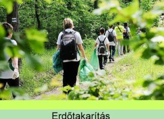 Erdőtakarítás Ásotthalmon