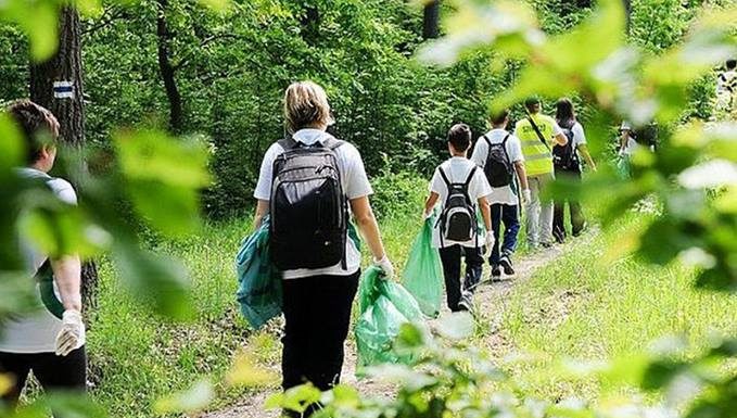 Erdőtakarítás Ásotthalmon