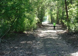 Új játszótér és betyáros futás várja Ásotthalmon a majálisozókat