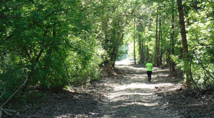 Új játszótér és betyáros futás várja Ásotthalmon a majálisozókat