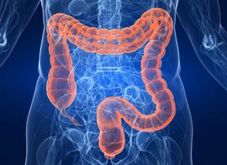 Folytatódnak az ingyenes vizsgálatok – Vastagbélszűrésre várják az érintetteket Mórahalmon