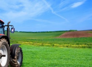 Fórumot tart Szegeden az agrárminiszter